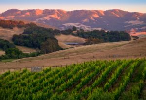 Ready to Learn More About Our Sonoma Senior Care Services? Sonoma Senior Care