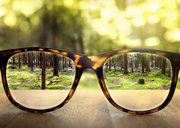 Caregivers: Recognize the Signs of Increasing Vision Loss