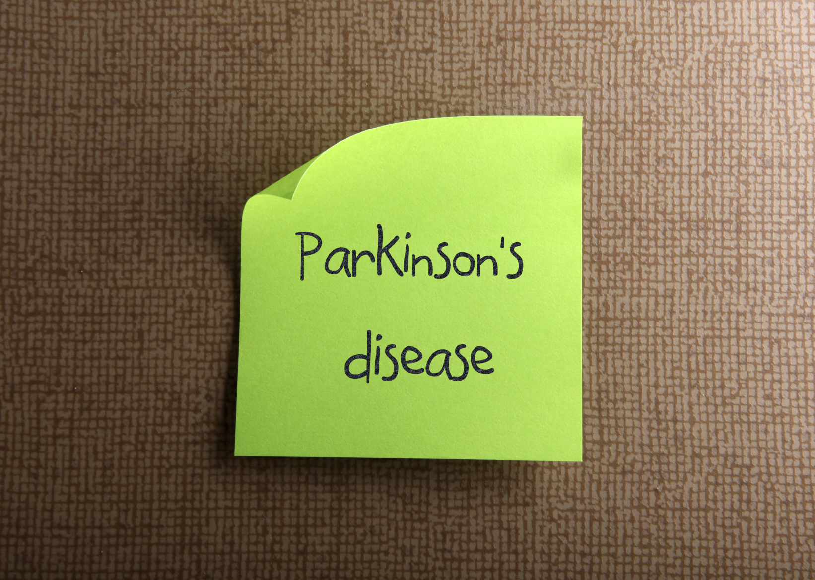 Parkinson’s Disease Facts: The 5 Stages and How to Best Provide Care