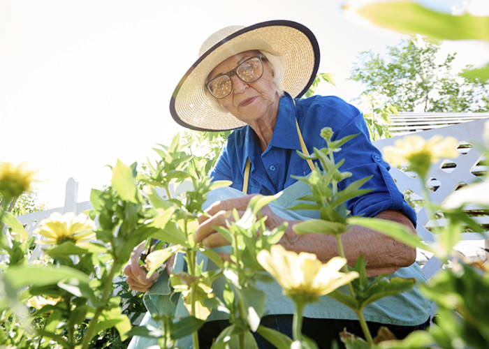 Discover the Many Benefits of Gardening for Older Adults