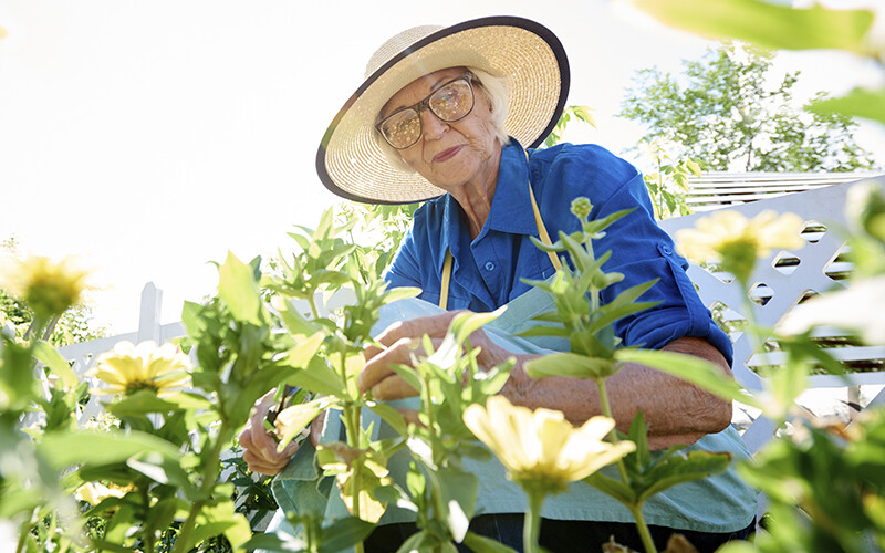 Discover the Many Benefits of Gardening for Older Adults